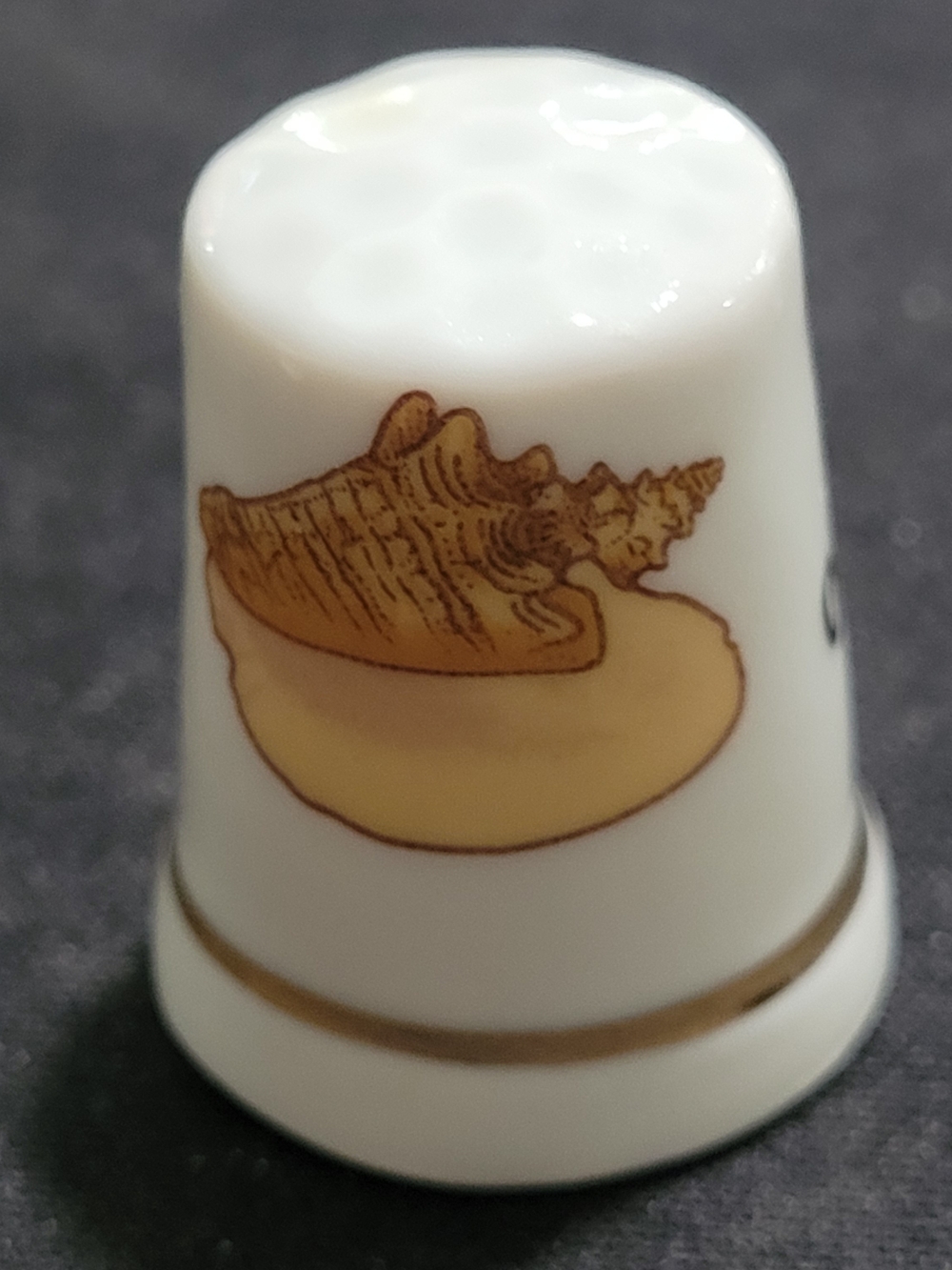 Porcelain Shell Accent Thimble - White and Gold Ocean City MD